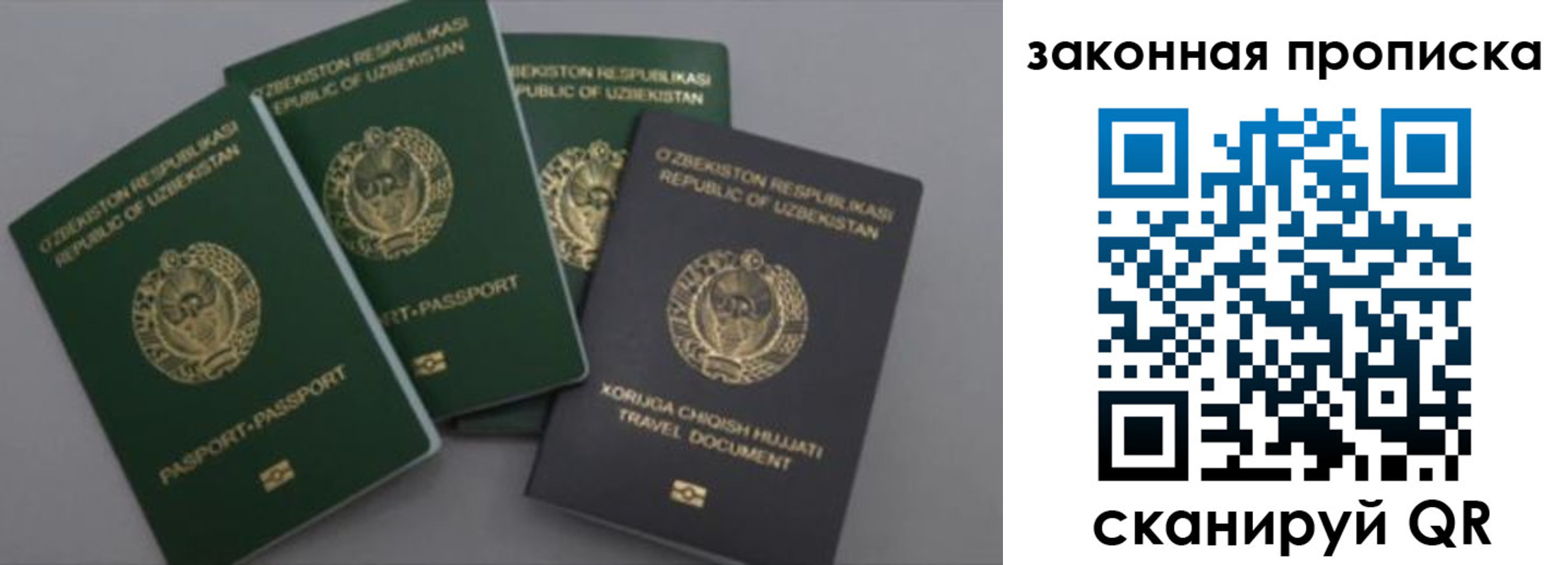 прописка законно в Почепе